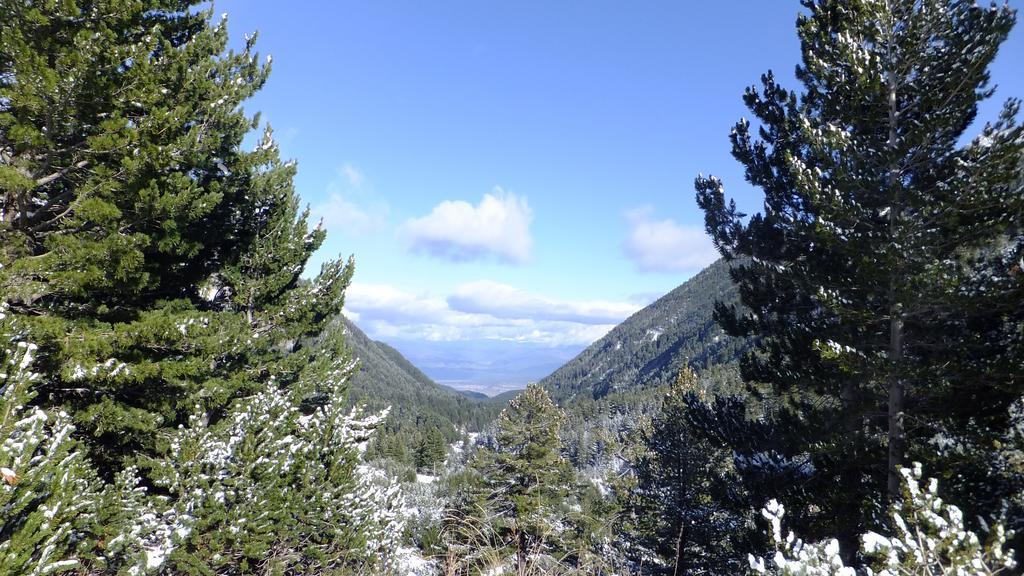 Bansko Prespa Ski Penthouse Cameră foto